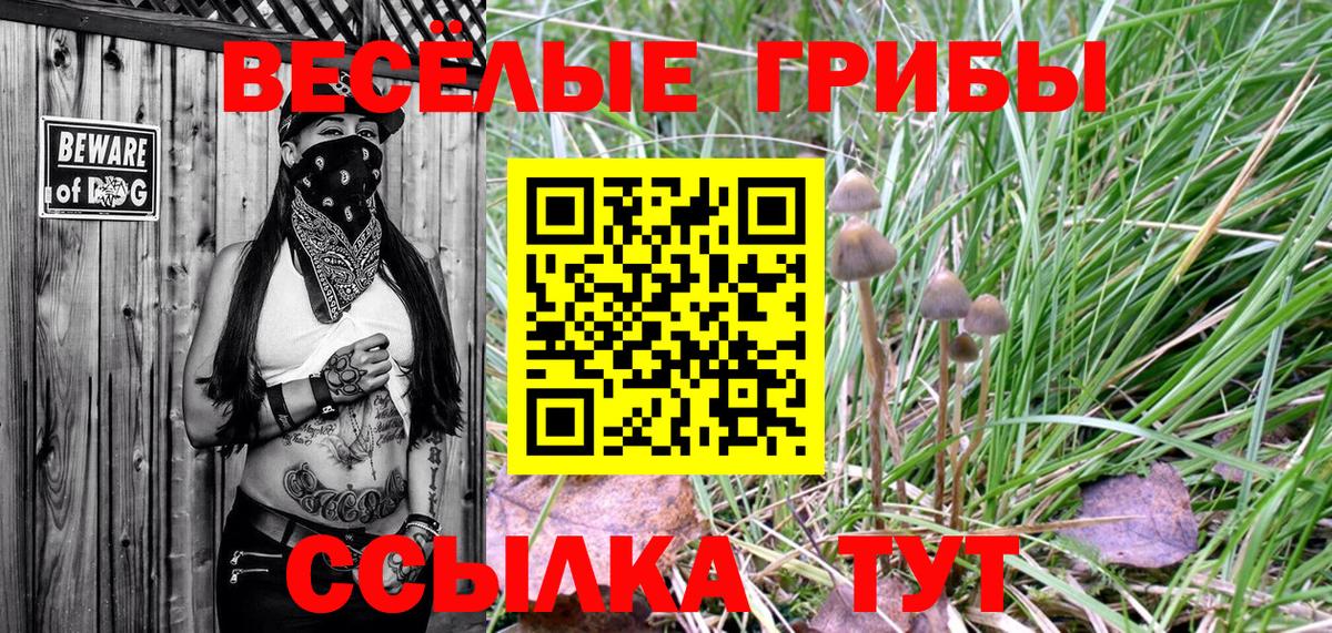 Шатура  Псилоцибиновые грибы ЛСД  Галлюциногенные грибы MAGIC MUSHROOMS  Вход с VPN 